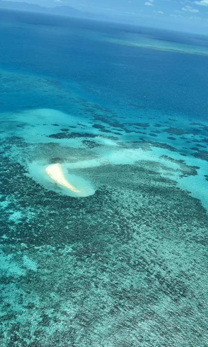 Great Barrier Reef game background