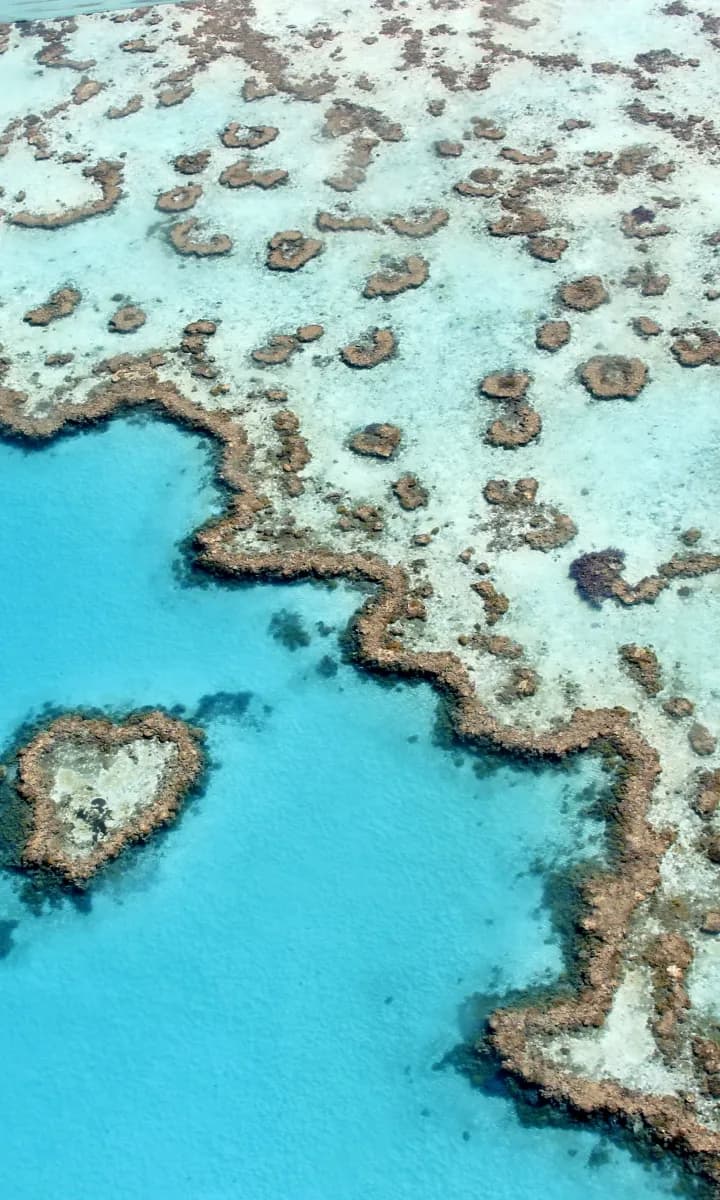 Whitsundays game background